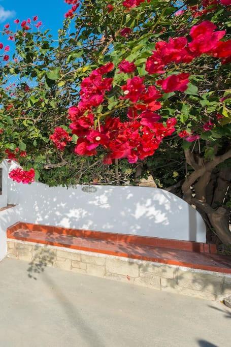 Greek Style Ground Floor Apartment & Pool إياليسوس المظهر الخارجي الصورة