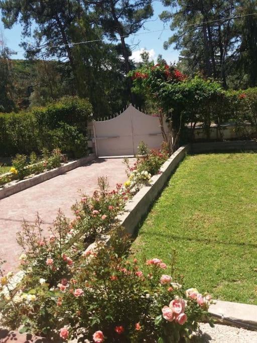 Greek Style Ground Floor Apartment & Pool إياليسوس المظهر الخارجي الصورة
