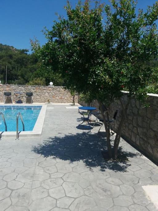 Greek Style Ground Floor Apartment & Pool إياليسوس المظهر الخارجي الصورة