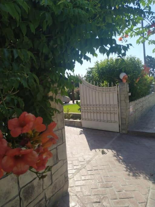Greek Style Ground Floor Apartment & Pool إياليسوس المظهر الخارجي الصورة