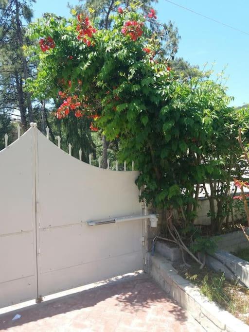 Greek Style Ground Floor Apartment & Pool إياليسوس المظهر الخارجي الصورة